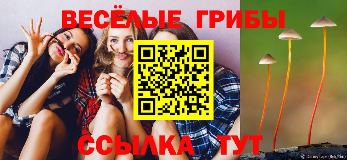 Галлюциногенные грибы ЛСД  Галлюциногенные грибы Psilocybine cubensis  Великий Устюг  Вход с VPN 