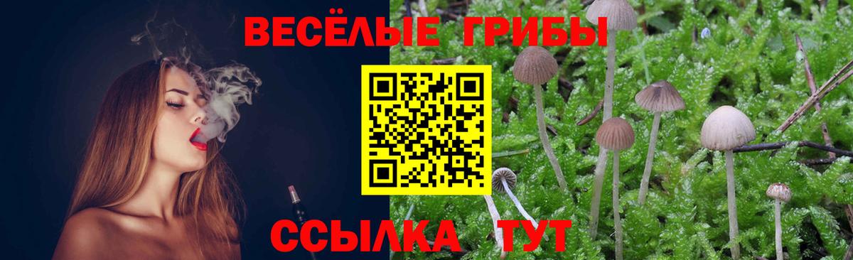 Псилоцибиновые грибы мухоморы Великий Устюг